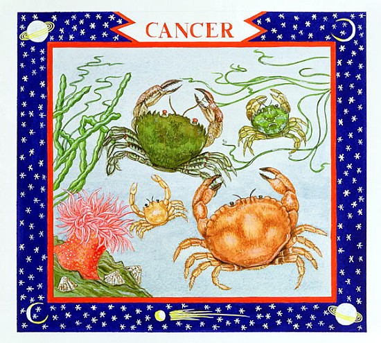 Cancer (w/c on paper)  from Catherine  Bradbury