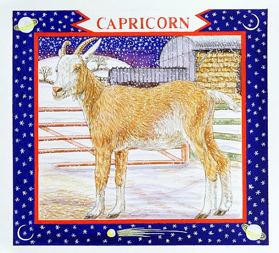 Capricorn (w/c on paper)  from Catherine  Bradbury
