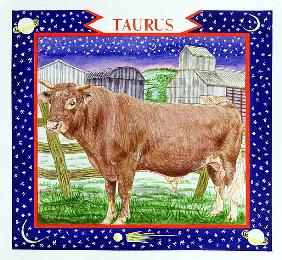 Taurus (w/c on paper) 