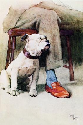 Bulldog (pen & ink & wash on paper)