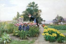 The Flower Garden