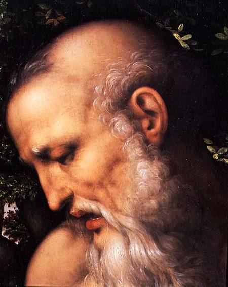 St. Jerome, detail of the saint's head from Cesare  da Sesto