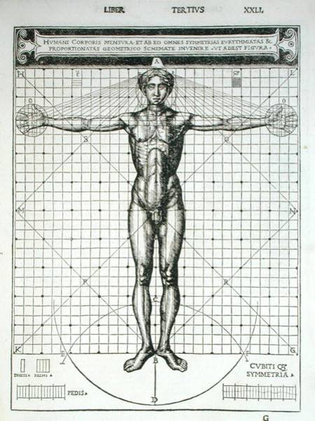 Ideal proportions based on the human body, from 'Di Lucio Vitruvio Pollione de architectura a libri from Cesare di Lorenzo Cesariano