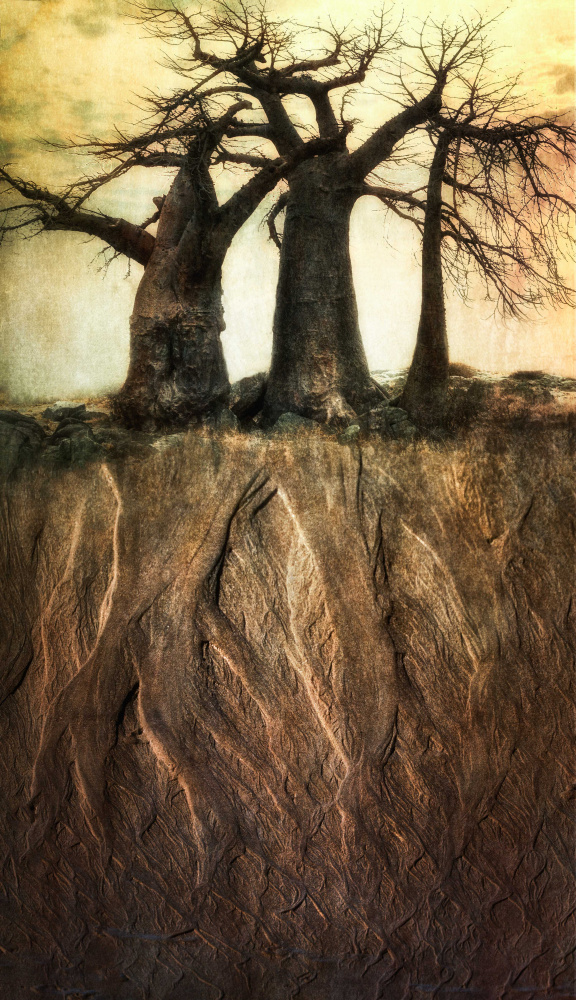 „…da war ein Baum,so alt wie ich…“ from Charlaine Gerber