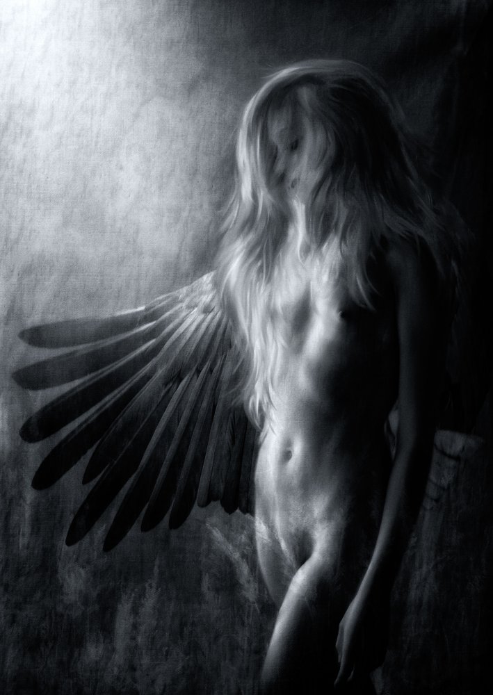 Entfesseln Sie Ihre Flügel,entfesseln Sie Ihre Seele ... from Charlaine Gerber