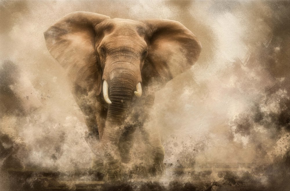 „...Wütender Elefantenbulle stürmt …“ from Charlaine Gerber
