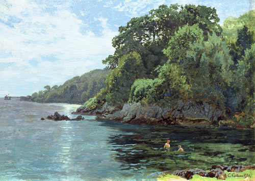 Cawsand Bay from Charles Collins