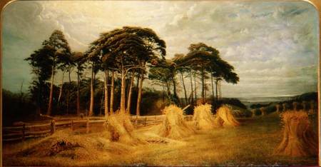 Sheaves of Wheat after the Harvest from Charles Henry Passey