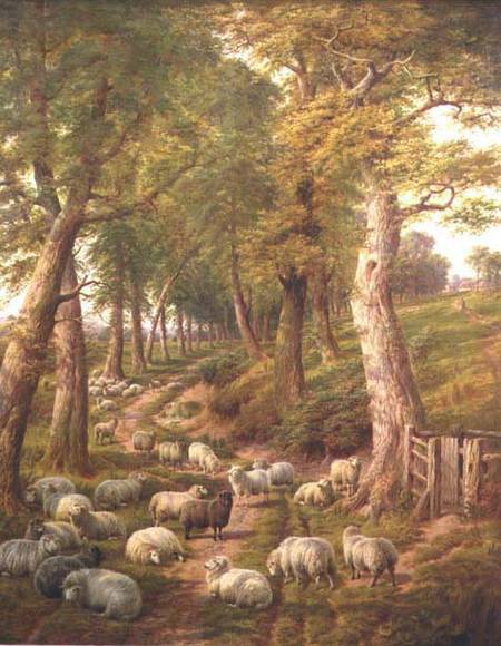 Landscape with Sheep from Charles Jones