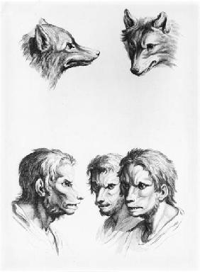 Similarities Between the Head of a Wolf and a Man, from 'Livre de portraiture pour ceux qui commence