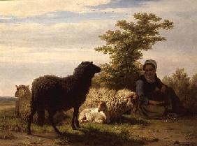 The Shepherdess