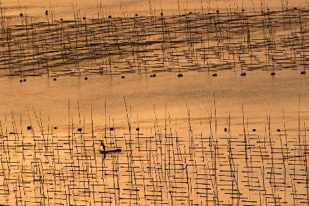 Ein Aquakulturbauer und seine Farm bei Sonnenuntergang