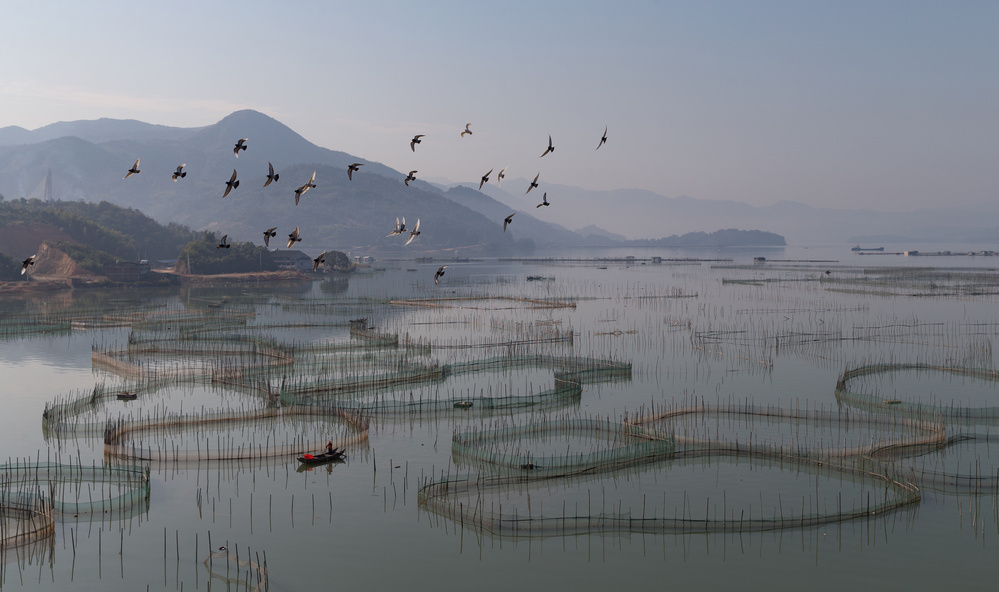Eine Aquakulturfarm in Fuding from Cheng Chang
