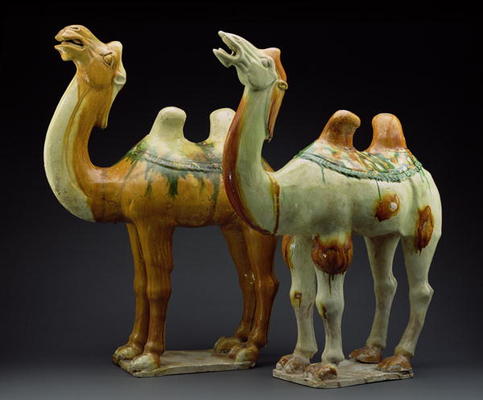 Two camels, Tang Dynasty (618-907) (glazed earthenware) from Chinese School