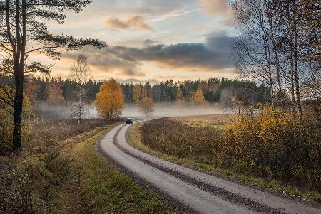 Fahren Sie in Herbstfarben