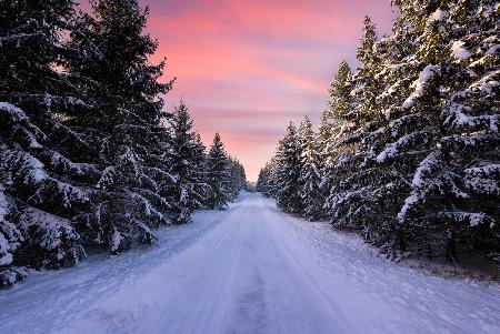 Straße in den Winterwald