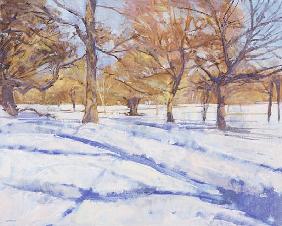 Winter, Richmond Park (oil on canvas) 
