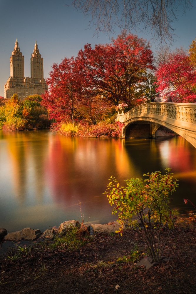 Fall in Central Park from Christopher R. Veizaga