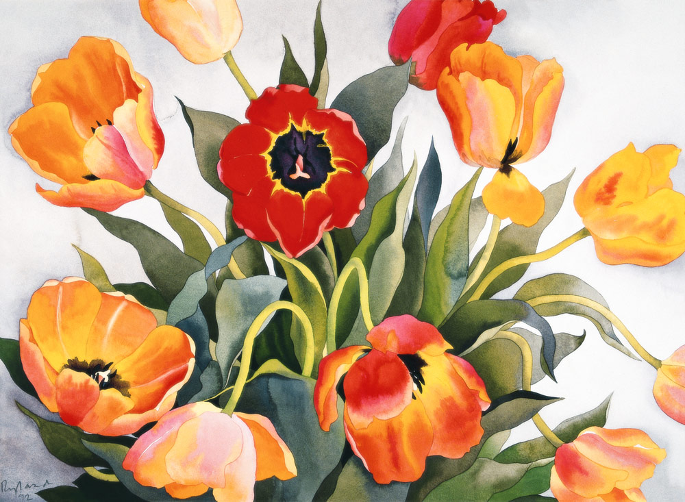 Orange and Red Tulips (w/c)  from Christopher  Ryland