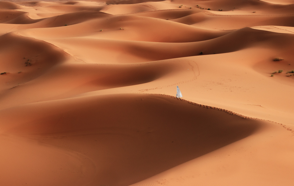 Sahara Wüste from Clas Gustafson PRO
