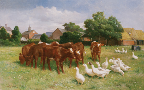 Cows and Ducks from Claude Cardon