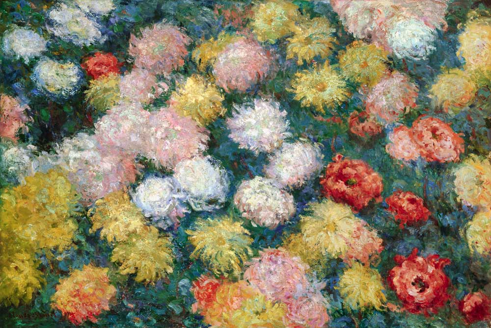 Chrysanthemums from Claude Monet