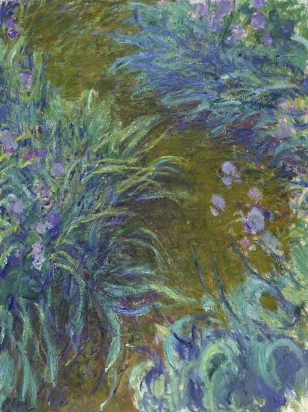 Irises from Claude Monet