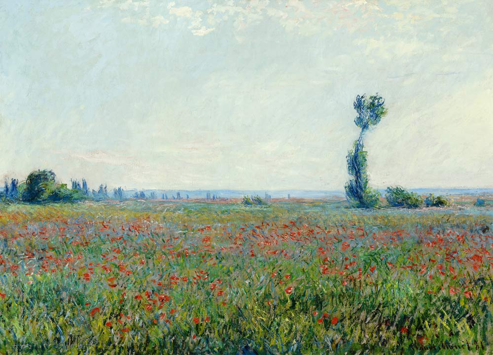 Poppy field from Claude Monet