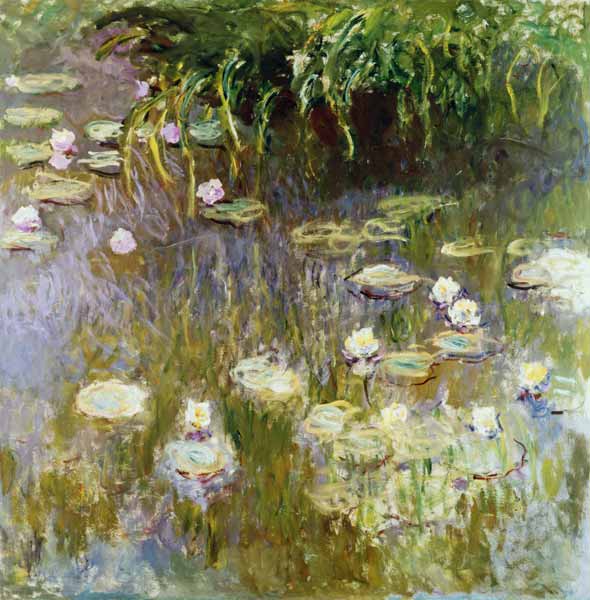 Waterlilies at Midday from Claude Monet