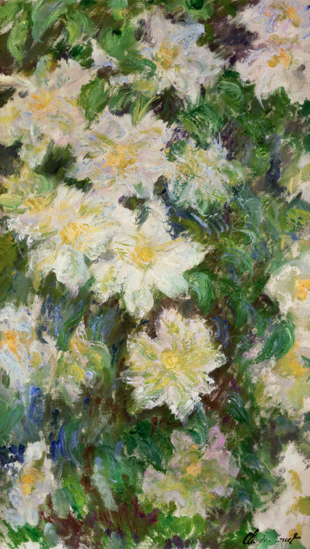 Weisse Klematis from Claude Monet