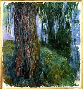 Weeping Willow and the Waterlily Pond
