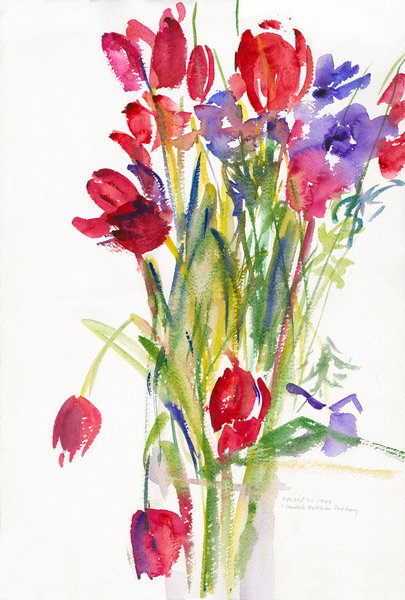 Tulips from Claudia Hutchins-Puechavy
