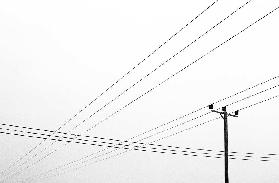 Power Lines, Wiltshire