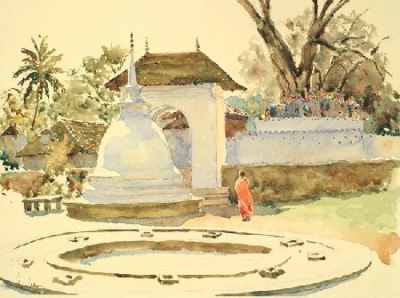 720 The Bodhi Tree, Kandy