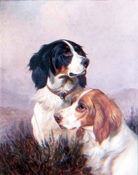 Setters on a Moor from Colin Graeme