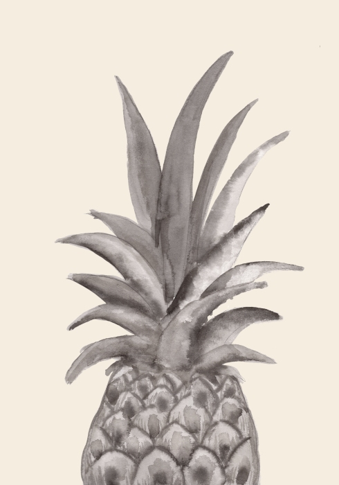 Ink Pineapple from Graphic Collection