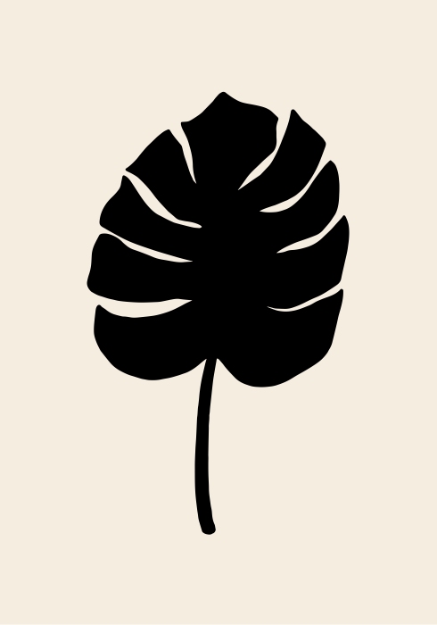 Monstera Leaf Black from Graphic Collection