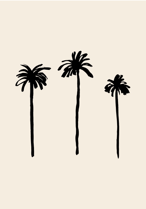 Palm Trees from Graphic Collection