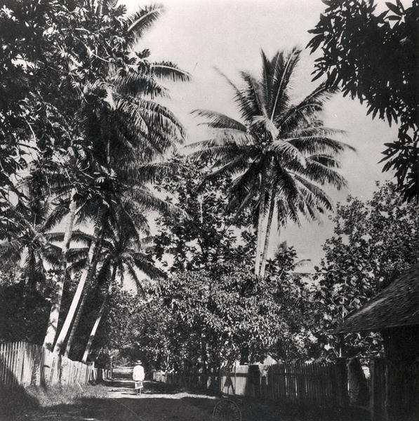 A Street in Papeete, from ''Tahiti'', published in London, 1882 (b/w photo)  from Colonel Stuart-Wortley
