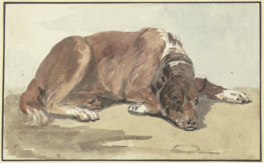 Liegende Dogge, den Kopf auf den Boden gelegt from Conrad Gesner