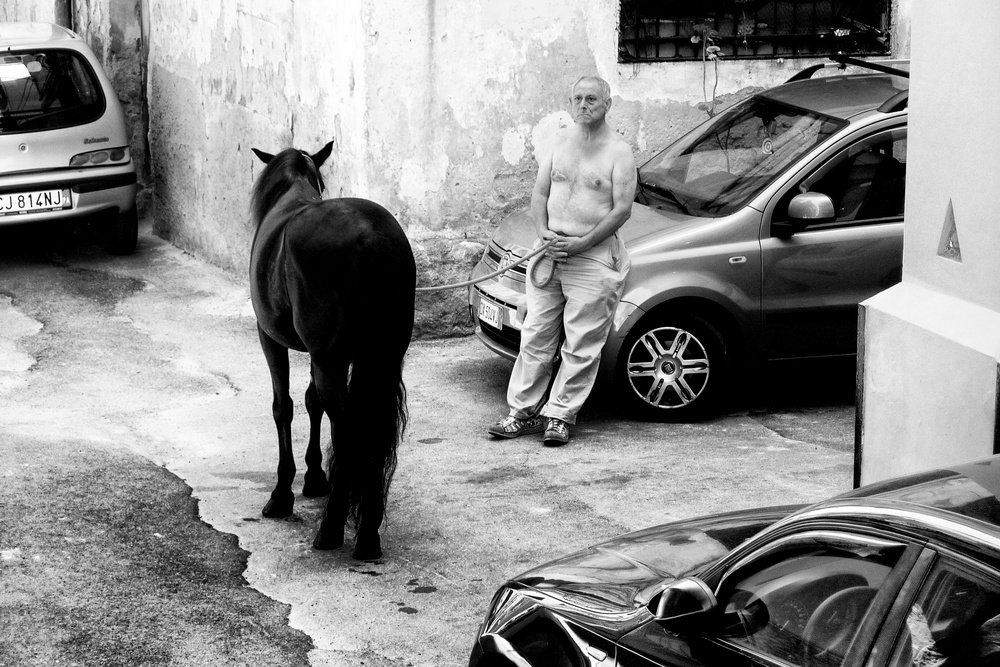Mann mit Pferd in Palermo,Sizilien from Constantine Matsos