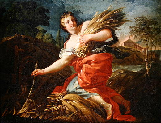 Ruth the Gleaner (oil on canvas) from Corrado Giaquinto