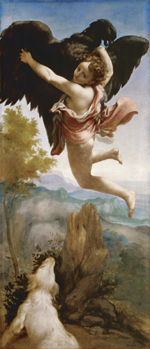Die Entführung des Ganymed. from Correggio (eigentl. Antonio Allegri)