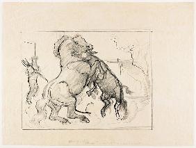 Study for Stallion and Jack Fighting