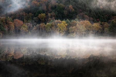 Der mystische Teich im Herbst