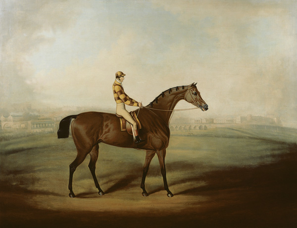 Portrait of Bruitandorf with jockey up and Chester Racecourse Beyond from Daniel Clowes