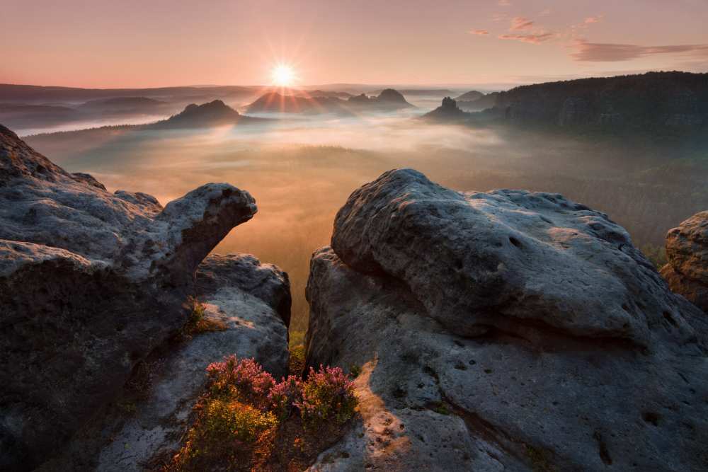 Sunrise on the rocks from Daniel Rericha