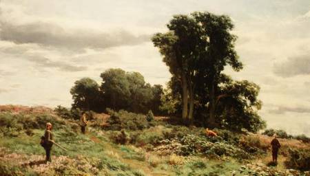 The Forest of Meiklour, Perthshire from David Farquharson