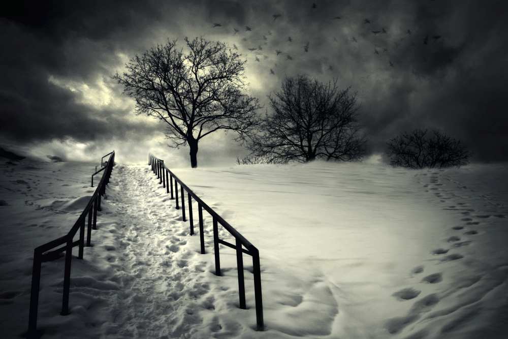 Stairs To The Sanctuary II from David Senechal Photographie