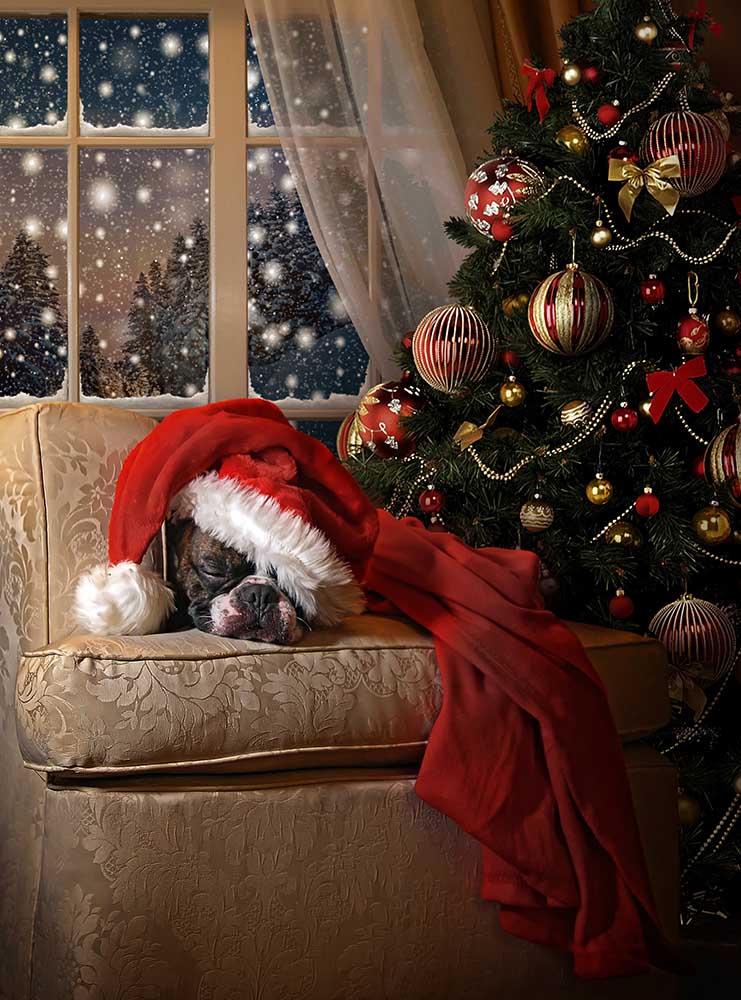 Warten auf den Weihnachtsmann from DDiArte